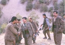 Erdal - Kurtay